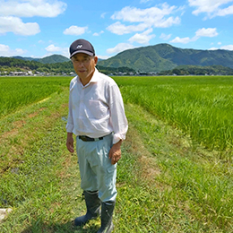 【もち米】新羽二重もち米
