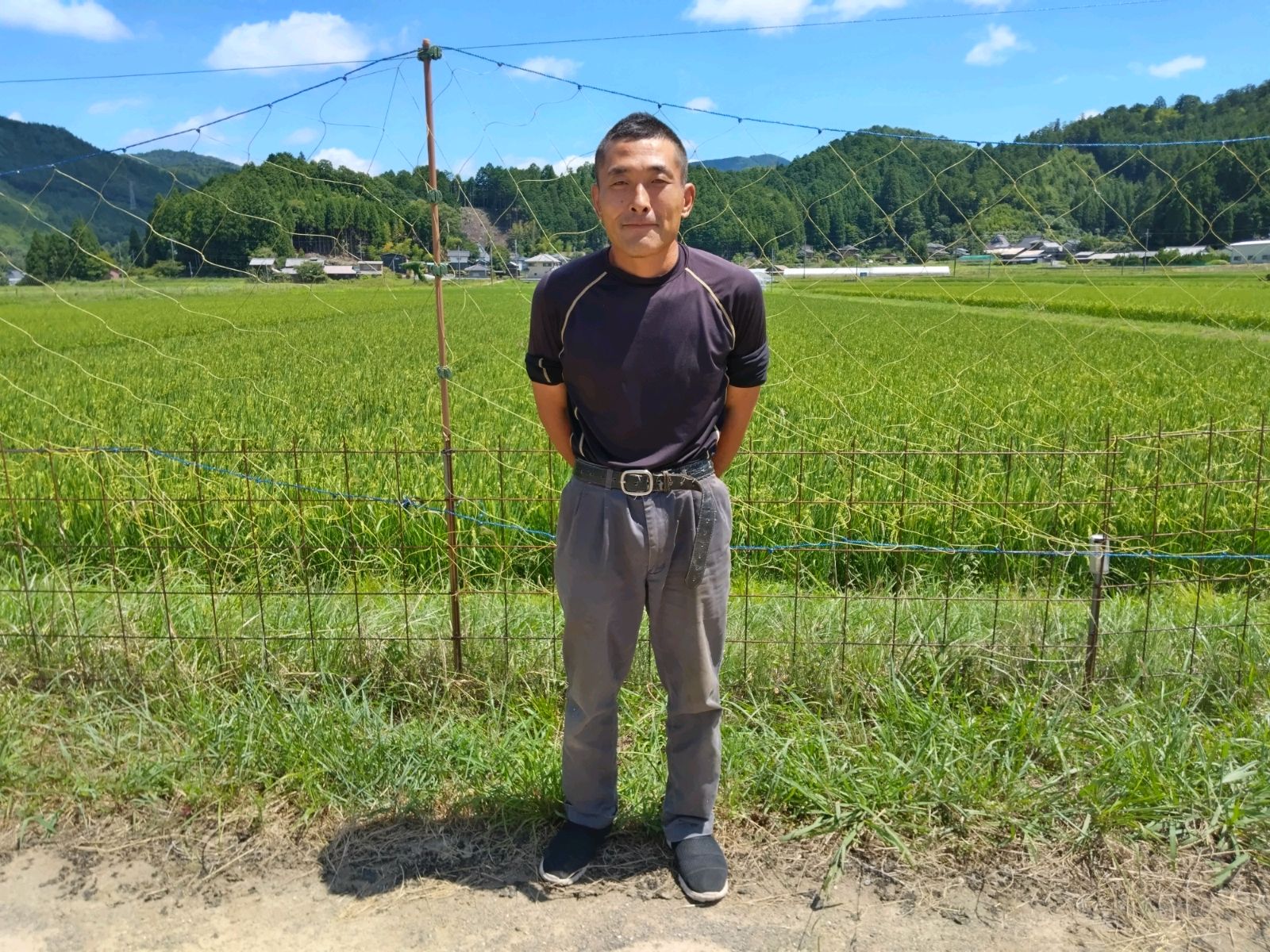 京都の高原の米