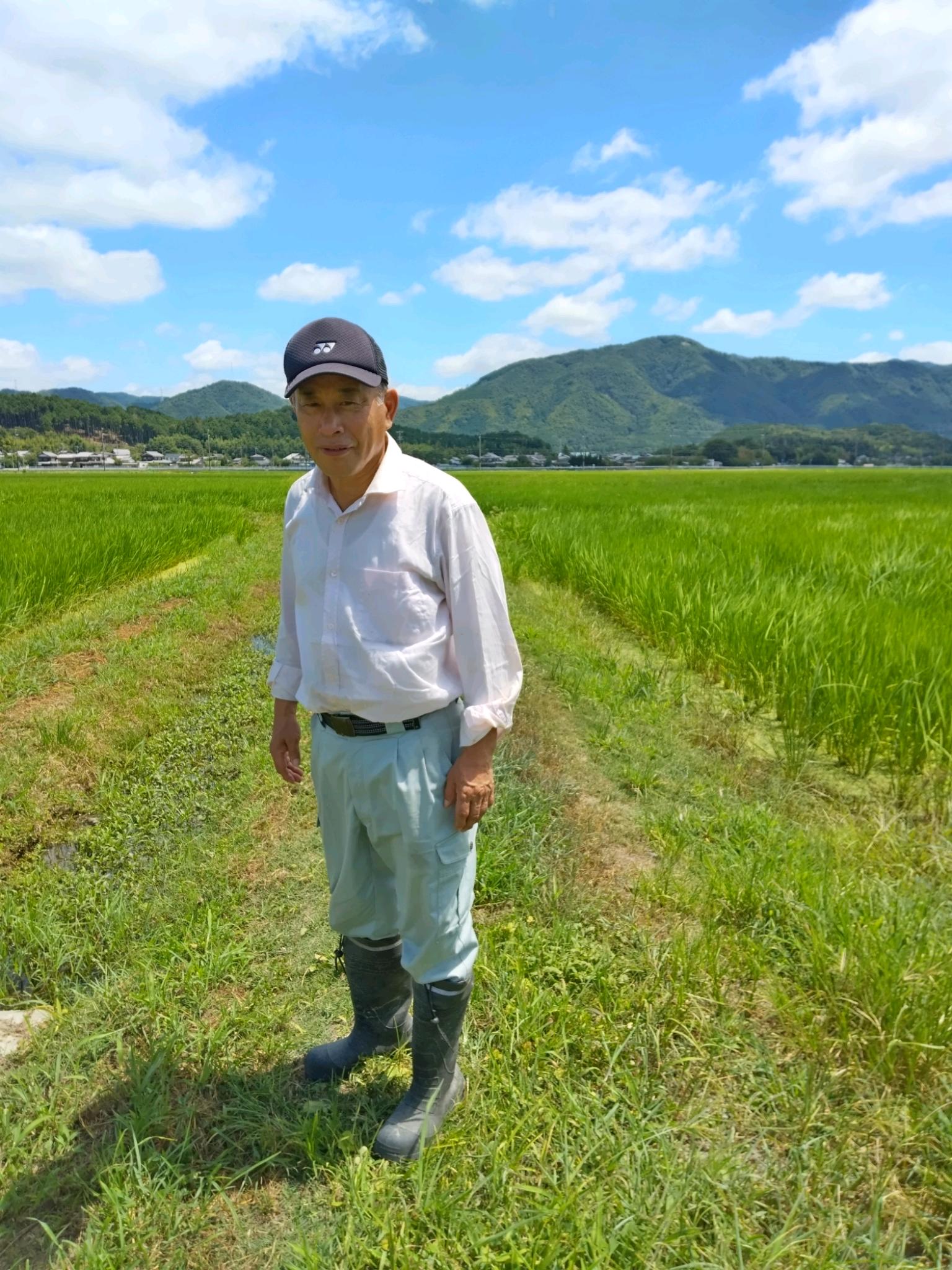 京都の輝き米