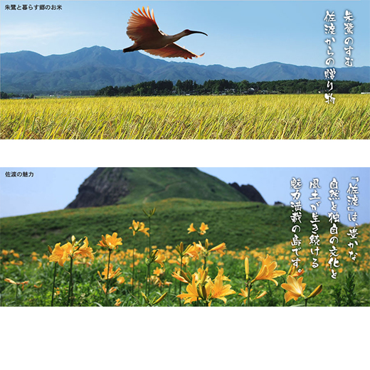 朱鷺（トキ）と暮らす里のお米