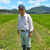 京都府南丹市八木町産