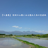 長野県東御市八重原産